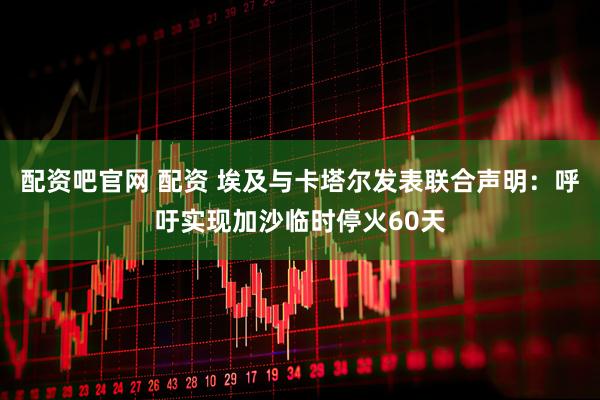 配资吧官网 配资 埃及与卡塔尔发表联合声明：呼吁实现加沙临时停火60天
