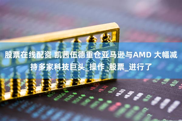 股票在线配资 凯茜伍德重仓亚马逊与AMD 大幅减持多家科技巨头_操作_股票_进行了