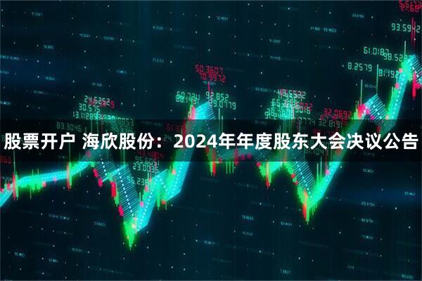 股票开户 海欣股份：2024年年度股东大会决议公告